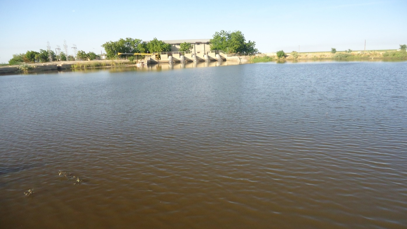 South Chad Irrigation Project (SCIP)
