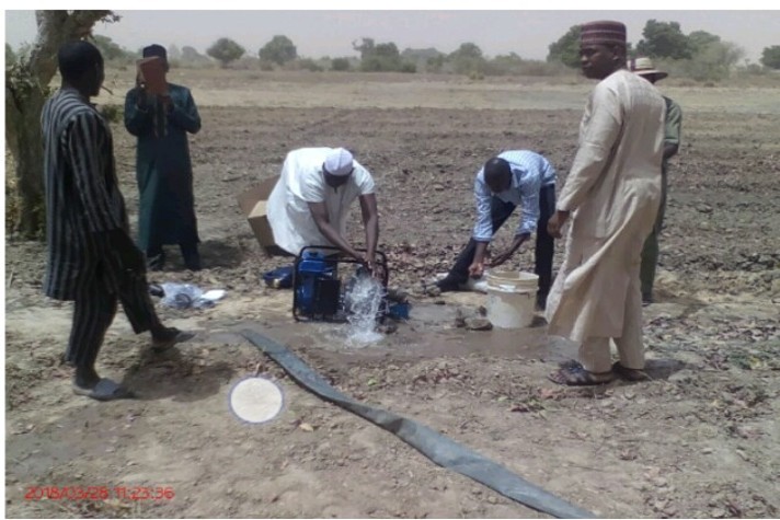Testing Of Portable Irrigation Pumps At Dumsa, Gashua Irrigation Schemes